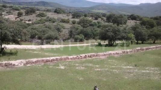 EL PARAISO S/N,, Lagos De Moreno, Jalisco 47538, Mexique