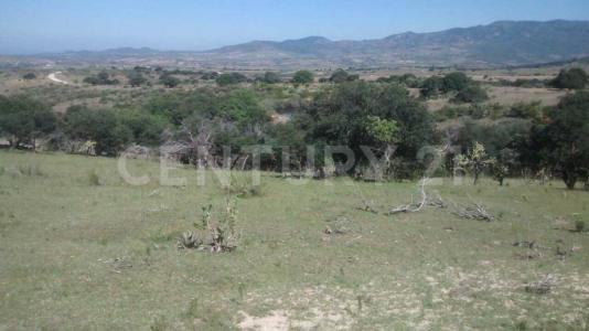 EL PARAISO S/N,, Lagos De Moreno, Jalisco 47538, Mexique