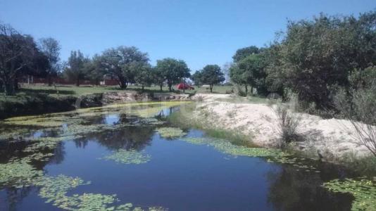 EL PARAISO S/N,, Lagos De Moreno, Jalisco 47538, Mexique