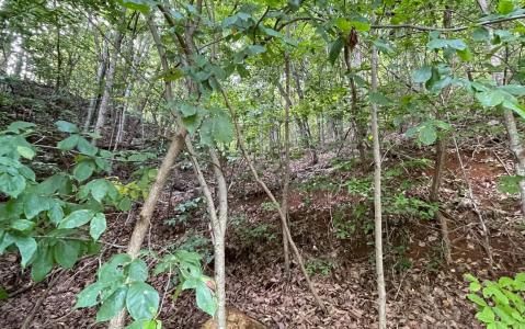 Lot 34 Overlook At Yh, Young Harris, Georgia 30582, USA