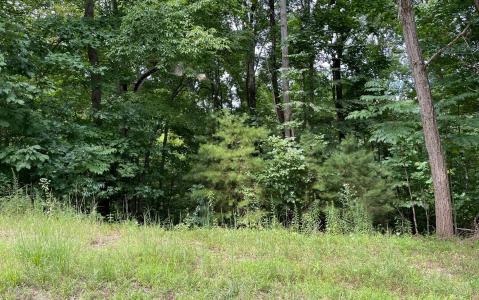 Lot 3 Morgan Creek, Ph Ii, Young Harris, Georgia 30582
