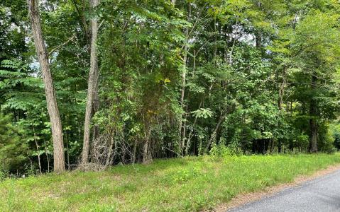 Lot 3 Morgan Creek, Ph Ii, Young Harris, Georgia 30582