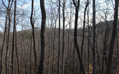 7 Fodder Creek Mill Road, Hiawassee, 喬治亞州 30546, 美國