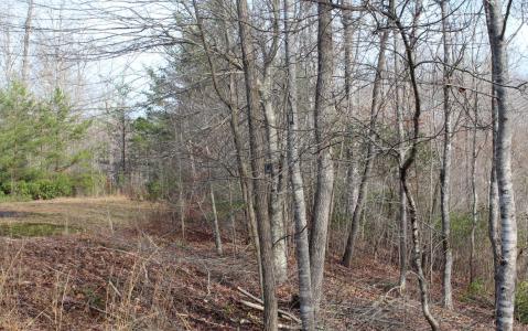 7 Fodder Creek Mill Road, Hiawassee, 喬治亞州 30546, 美國