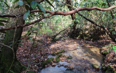 7 Fodder Creek Mill Road, Hiawassee, 喬治亞州 30546, 美國