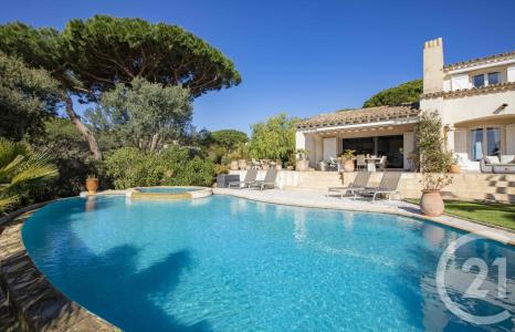 La Croix Valmer, Provence-Alpes-Côte D'Azur 83420, Francia