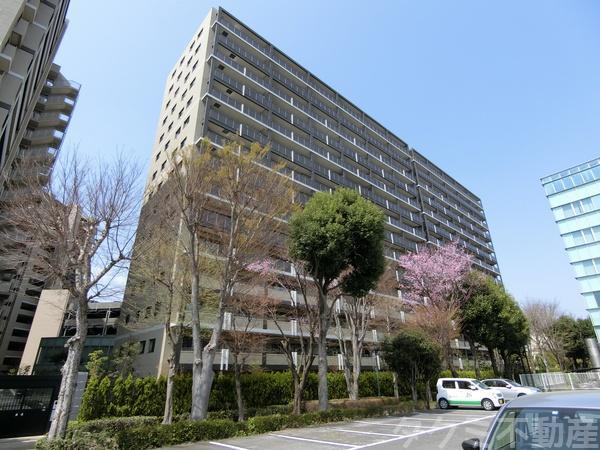 竹園1丁目3-8, LEBEN THE TSUKUBA , つくば市, Ibaraki 305-0032, 일본