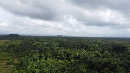 Toledo District, Toledo 00001, Belize