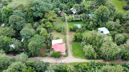 Entrada quebrada Terrones , Península De Osa Puerto Jiménez Golfito, Puntarenas 00001, Costa Rica
