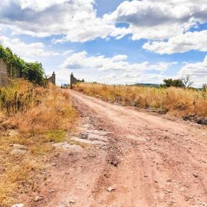 Al sureste de la carretera a Zapotlanejo 8 km,, Zapotlanejo, Jalisco 45438, Messico