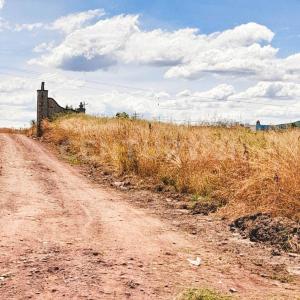 Al sureste de la carretera a Zapotlanejo 8 km,, Zapotlanejo, Jalisco 45438, Messico