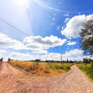 Al sureste de la carretera a Zapotlanejo 8 km,, Zapotlanejo, Jalisco 45438, Messico