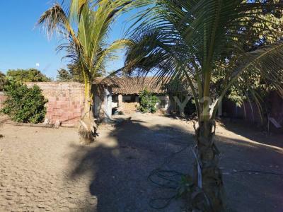 Mazatlán, 시날로아 82248, 멕시코