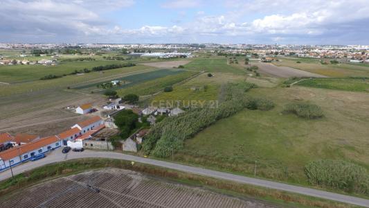 Montijo, Setúbal 2870-501, Portugal