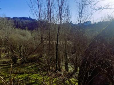 Amarante, Porto 4600-681, Bồ Đào Nha