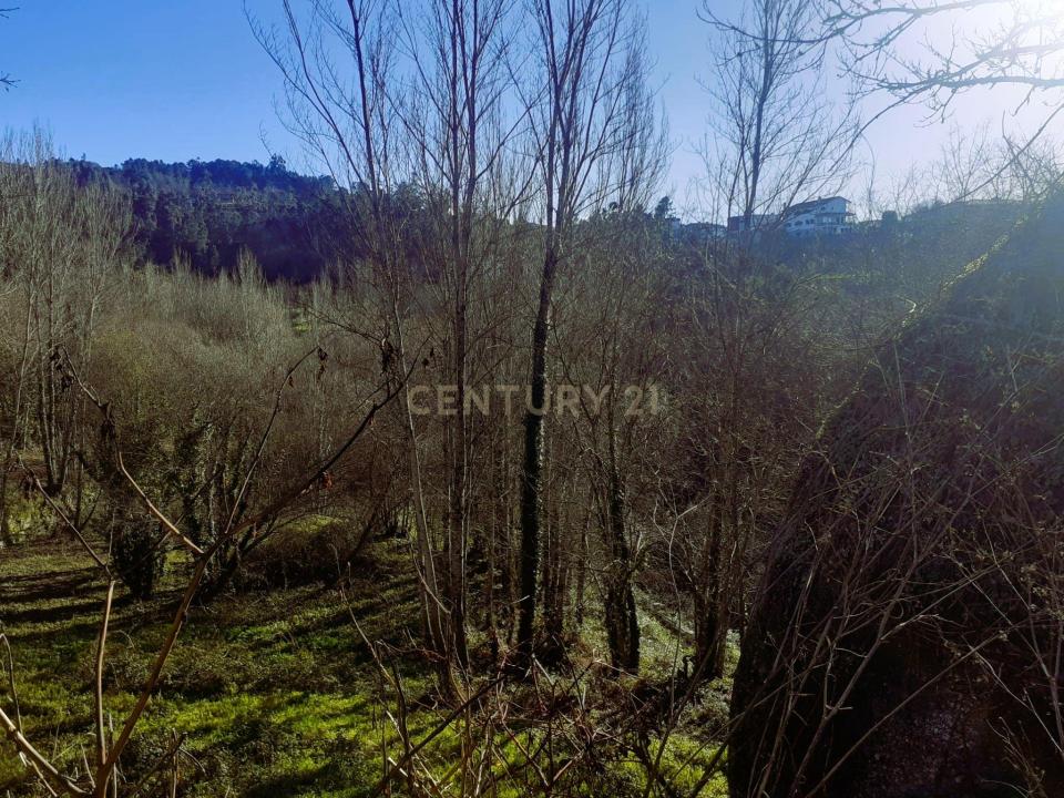 Amarante, 포트토 4600-681, 포르투갈