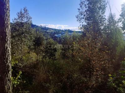 Amarante, 포트토 4600-681, 포르투갈