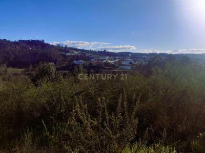 Amarante, 포트토 4600-681, 포르투갈