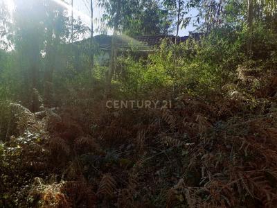 Amarante, 포트토 4600-681, 포르투갈