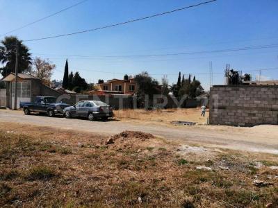 PRIVADA ZARAGOZA 7,, トラスカラ, トラスカラ 90110, メキシコ