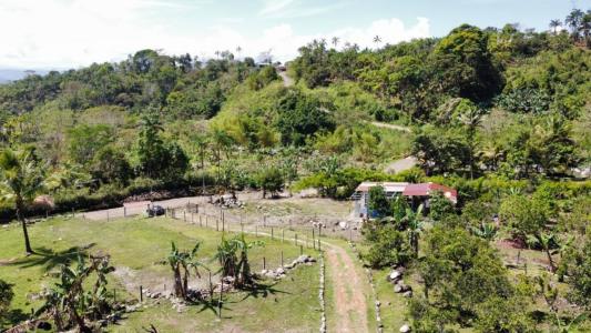 Cajón , Cajón Pérez Zeledón, San José 00001, 哥斯達尼加