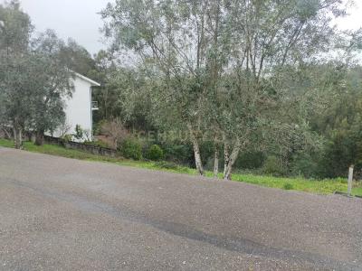 Coimbra, Coimbra 3030-451, Portugal