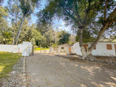 Las Torcazas , Lima, Lima 00001, Peru