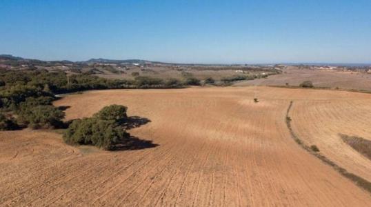 Santiago do Cacém, Setúbal 7555-218, Portugal