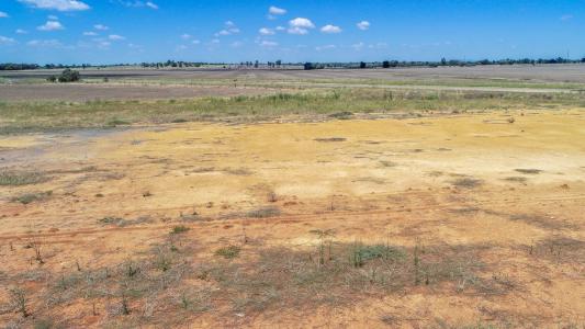 Lot 214 Edward Street, Forbes, NSW 2871, オーストラリア