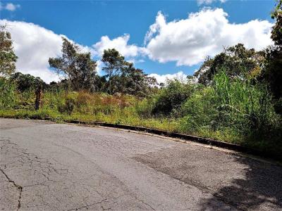 Ruta 2 74, San Antonio De Los Altos, Miranda 00001, ベネズエラ