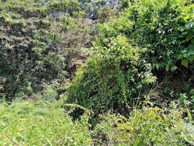 Ruta 2 74, San Antonio De Los Altos, Miranda 00001, ベネズエラ