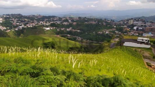 Sector Merida 00, Carrizal, Miranda 1203, 베네수엘라