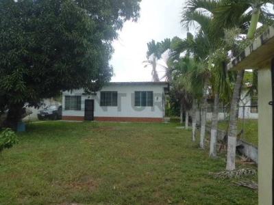Calle Principal , Barlovento, Miranda 1236, Venezuela