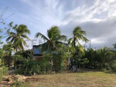 La Plaza de Paraguachí, Nueva Esparta 6324, Venezuela