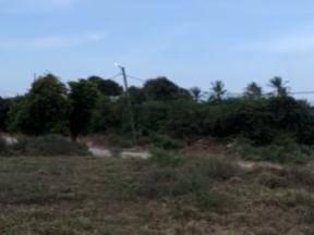 La Plaza De Paraguachí, Nueva Esparta 6324, 委內瑞拉