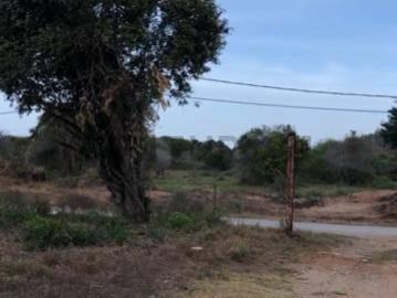 La Plaza De Paraguachí, Nueva Esparta 6324, 委內瑞拉