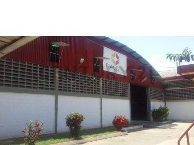 Santa Teresa del Tuy, Miranda 00001, Venezuela