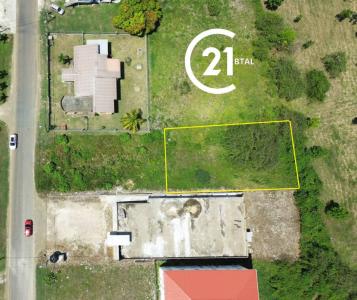 Belmopan, Cayo 501, ベリーズ