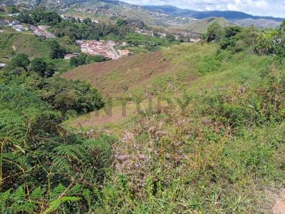 VIA CIRCUNVALACION LAGUNETICA 1, Los Teques, Miranda 1201, ベネズエラ