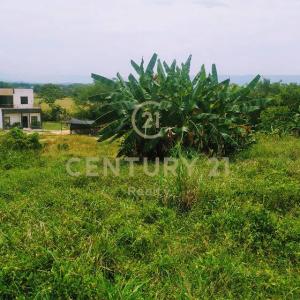 Melgar, Tolima 00001, Colombia