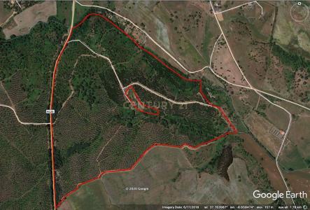 Odemira, Beja 7630-174, Bồ Đào Nha