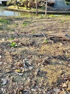 LOT 16R Palisades Loop, Hot Springs, ארקנסו 71913-0000, ארצות הברית של אמריקה 