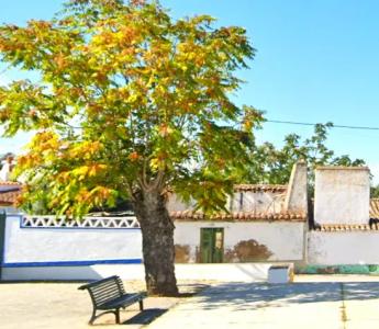 Monforte, Portalegre 7450-160, Portugal