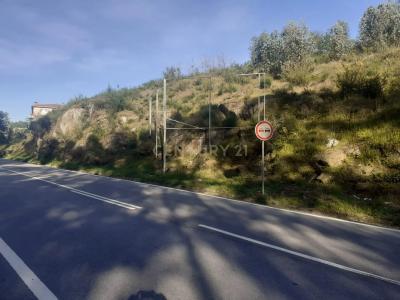 Marco De Canaveses, Porto 4575-435, Bồ Đào Nha