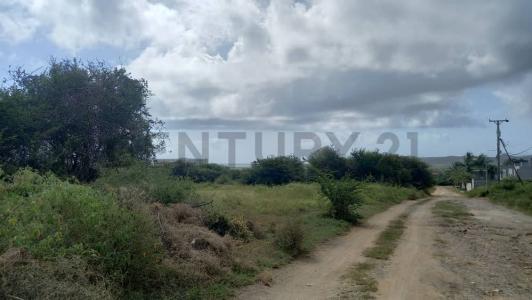 Playa Guacuco Terreno, La Asunción, Nueva Esparta 6303, Venezüella