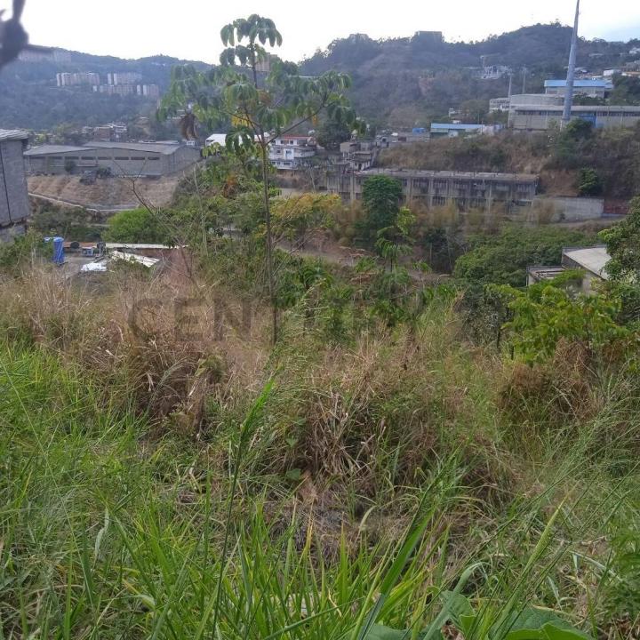 Caracas, Miranda 1073, 베네수엘라
