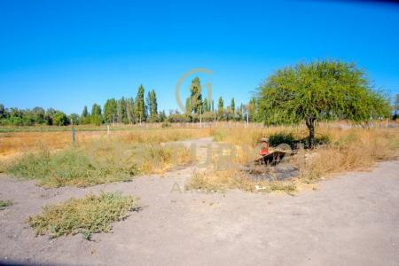 Chacabuco, Región Metropolitana De Santiago 00001, Chile