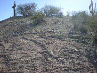 Lot #36 N Gianna Drive #36, Wickenburg, Arizona 85390, Estados Unidos