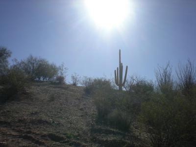 Lot #36 N Gianna Drive #36, Wickenburg, Arizona 85390, Estados Unidos