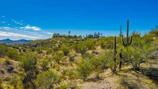 Lot 33 E Giana Drive #33, Wickenburg, Arizona 85390, Estados Unidos